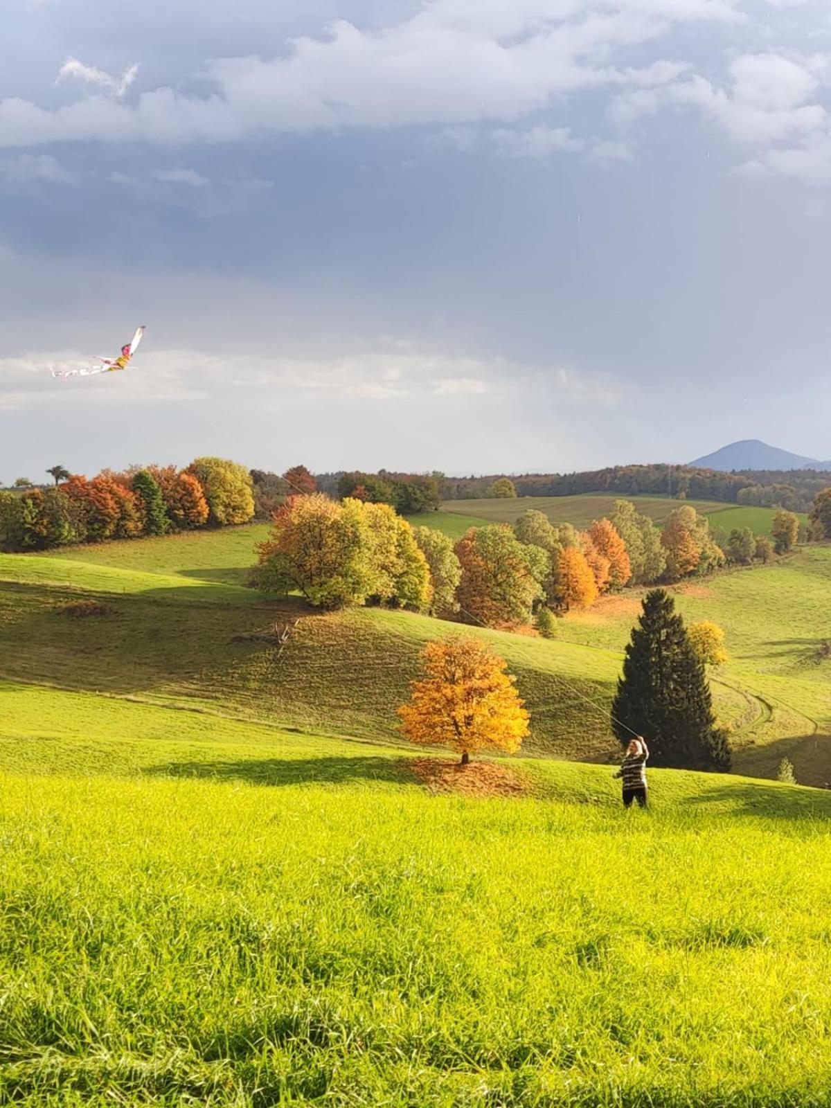 Kastanienhof Διαμέρισμα Hinterhermsdorf Εξωτερικό φωτογραφία